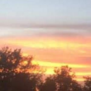 Meet your Posher, Allie